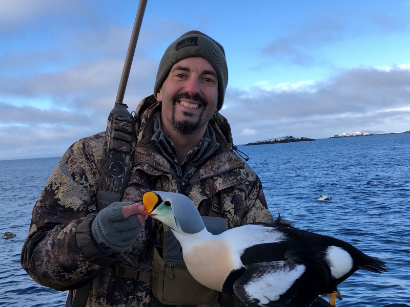 king eider hunting
